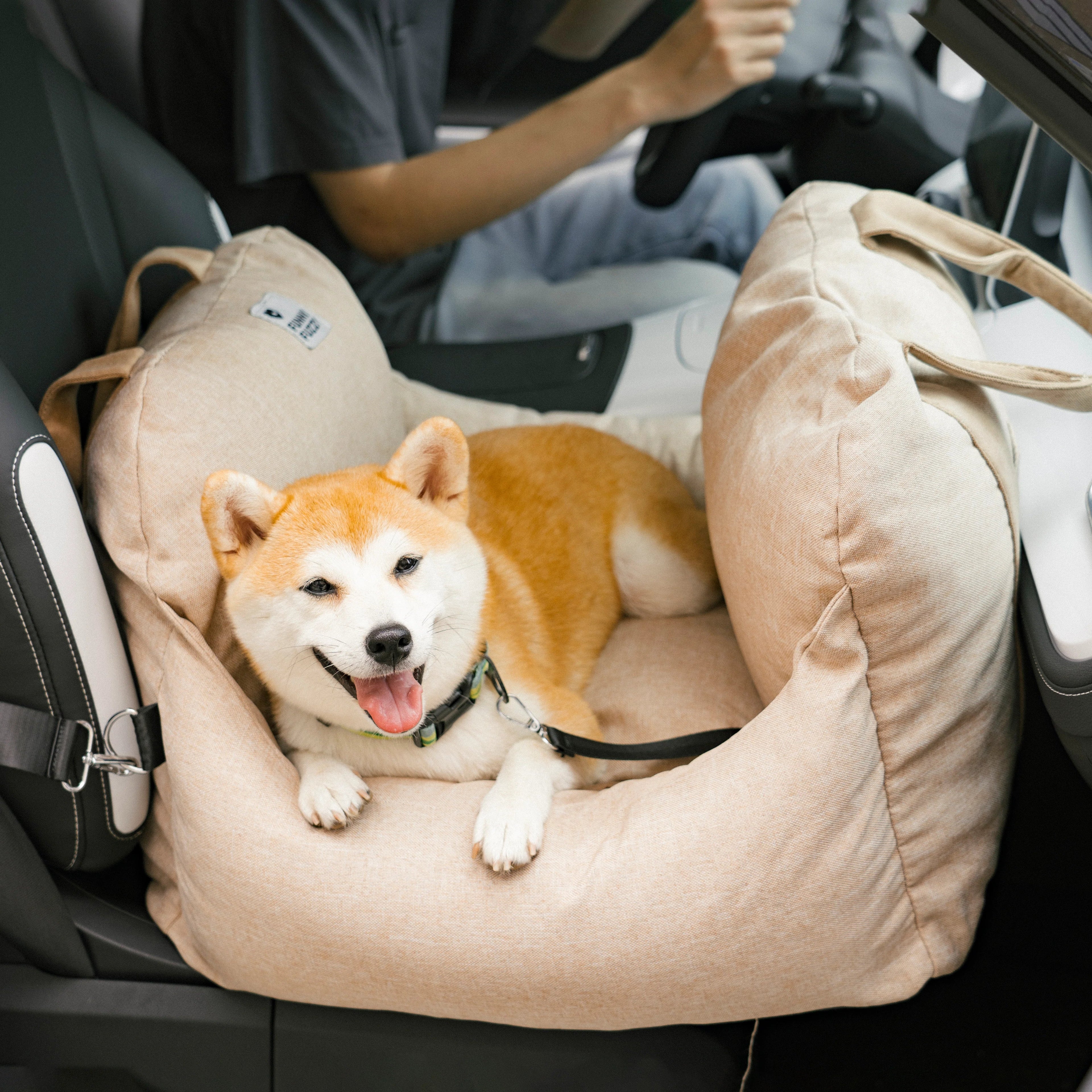 Portable Leisure Outing Pet Bolster-Dog Car Seat Bed